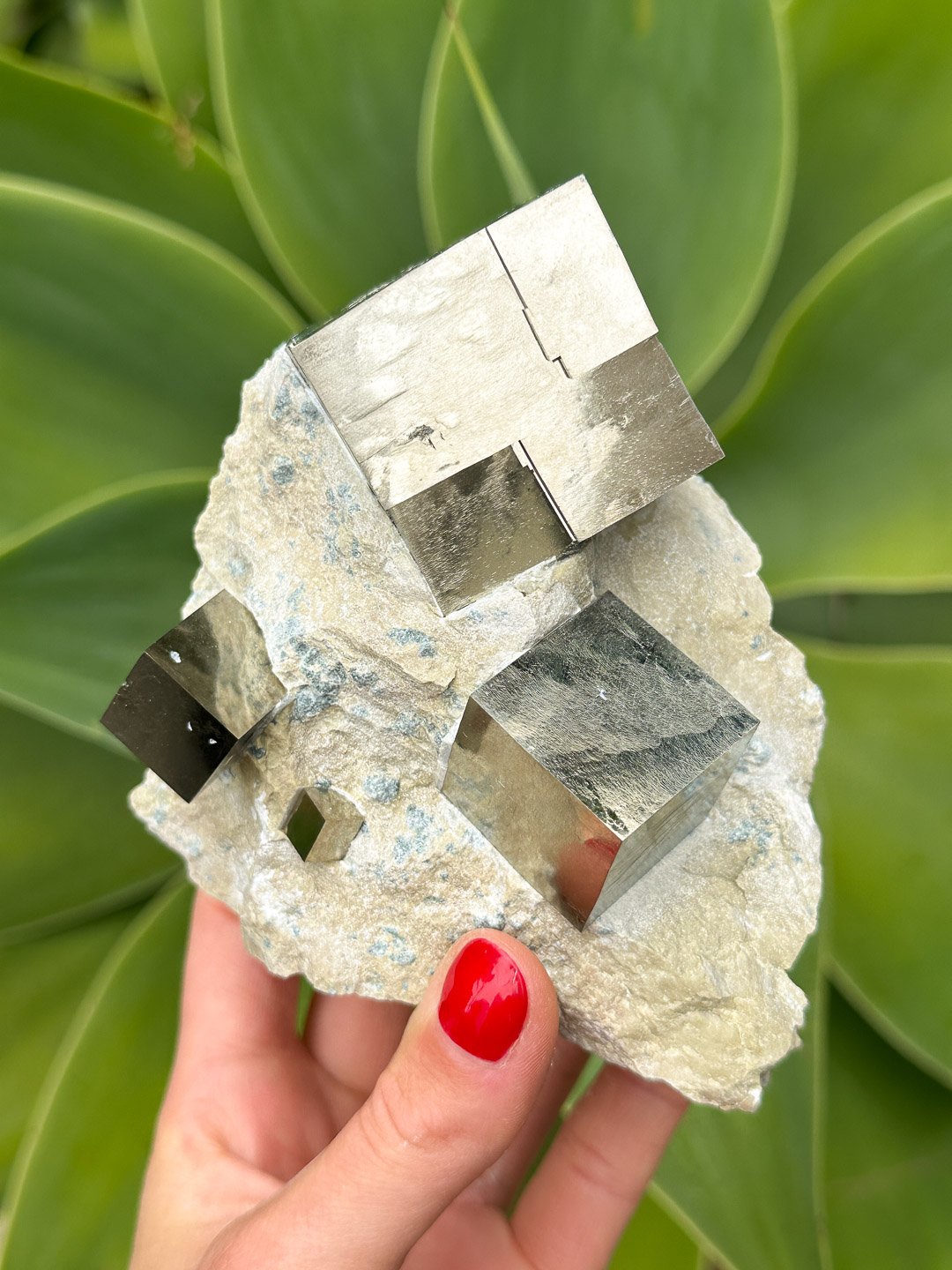 Golden Earth Pyrite Matrix Specimen — Rocks for the Spirit